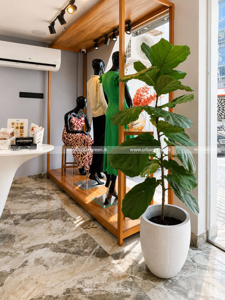 Urban-Green-Interior-Tashan-Hookah-panthera Styles - Colombo-04