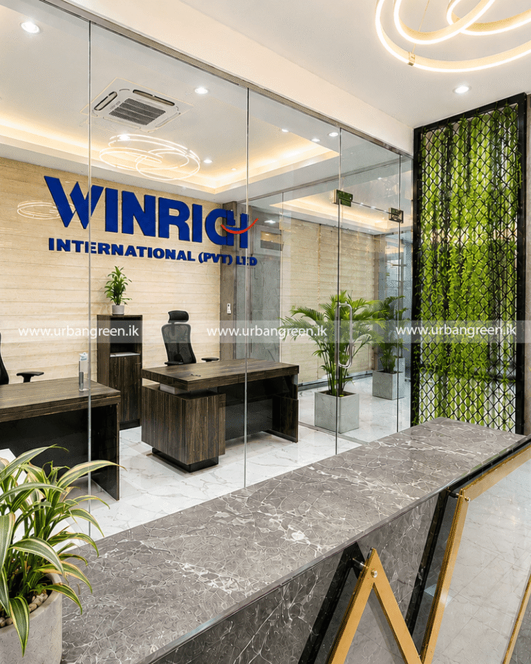 Urban-Green-Interior-site-constructions